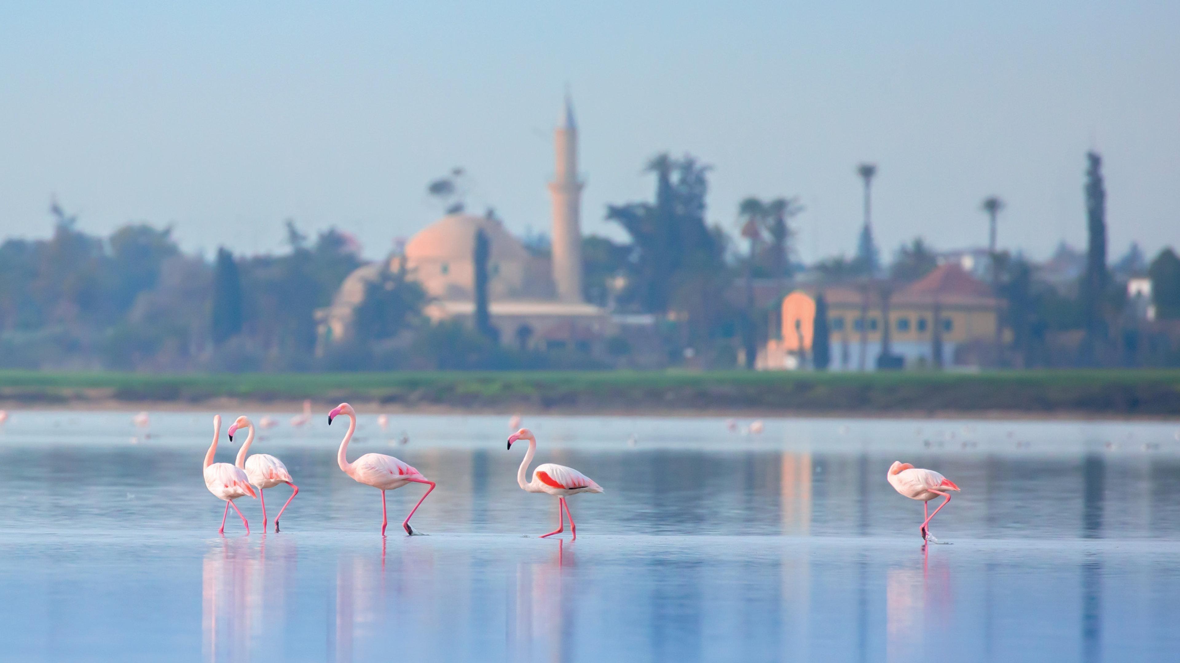 Hotel Indigo Larnaca By Ihg-Adults Only Luaran gambar